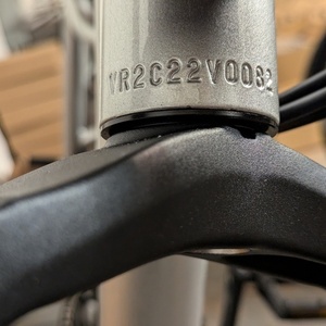 2020 Rad Power Bikes RadRunner Plus Silver, gray or bare metal