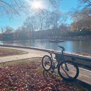 2023 Specialized Roll 2.0 Low Entry Teal