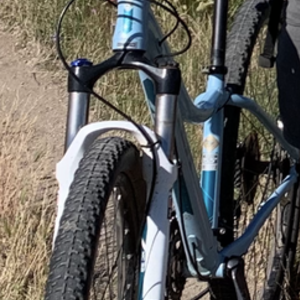 2012 Trek Blue