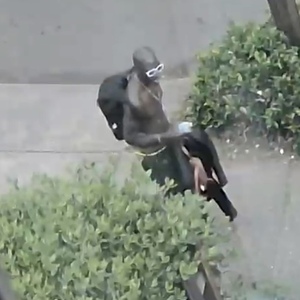 2013 Trek Cali S WSD Blue