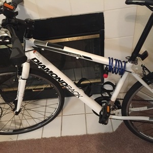 2015 Diamondback Insight White