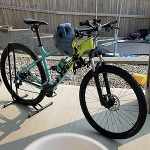 2024 Trek Teal and Yellow or Gold