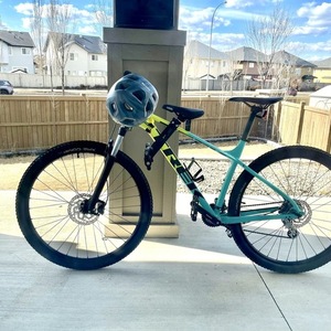 2024 Trek Teal and Yellow or Gold