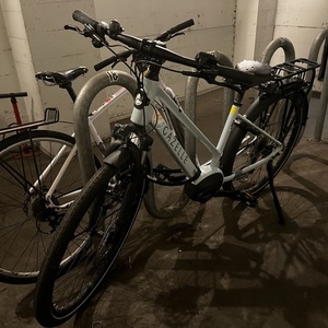 2022 Gazelle Medeo T9 Green