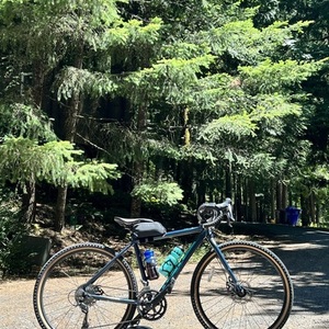 2023 Kona Rove AL 650 Blue