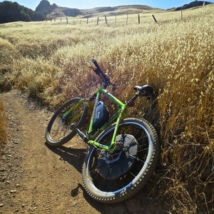 2006 Cannondale Green