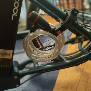 2023 MoonCool MC350 tricycle Green