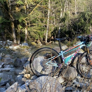 2019 Trek Procaliber Blue