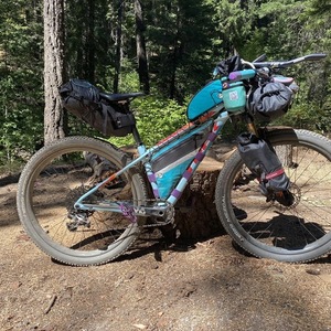 2019 Trek Procaliber Blue