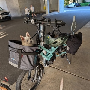 2024 Tern HSD P5I Teal