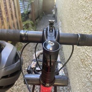 2020 Surly Straggler Pink