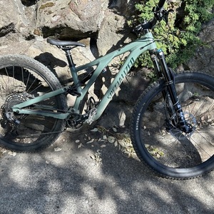 2023 Specialized Stump jumper Green