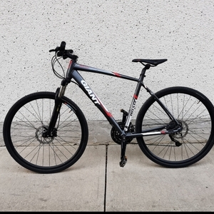 2015 Giant giant roam 1 disc Blue and Black