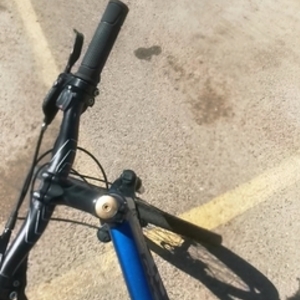 2015 Giant giant roam 1 disc Blue and Black