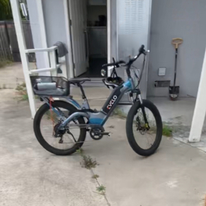 2019 Evelo Aurora Blue