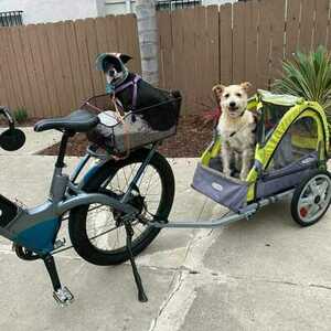 2019 Evelo Aurora Blue