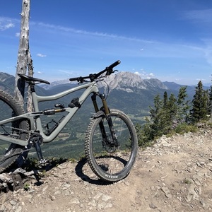 2022 Ibis Ripmo V2 Factory SLX Silver, gray or bare metal