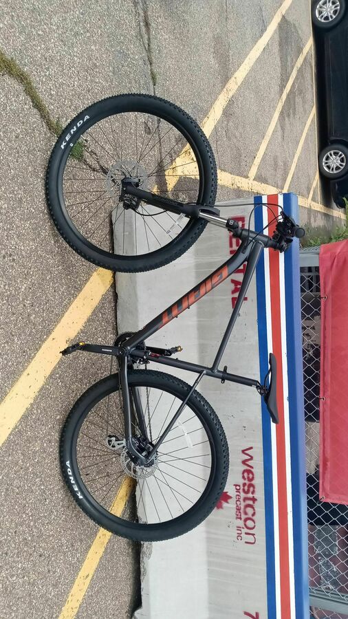 Bike Trailer photo