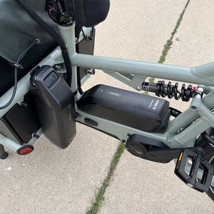 2024 Riese &amp; Müller Load4 60 Green