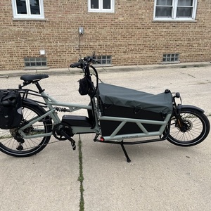 2024 Riese &amp; Müller Load4 60 Green