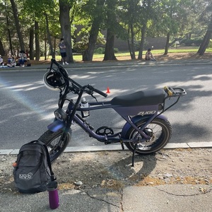 2021 Zugo Rhino Purple