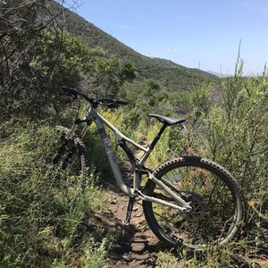 Specialized Stumpjumper FSRxc Brown