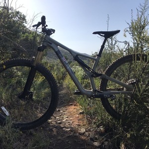 Specialized Stumpjumper FSRxc Brown