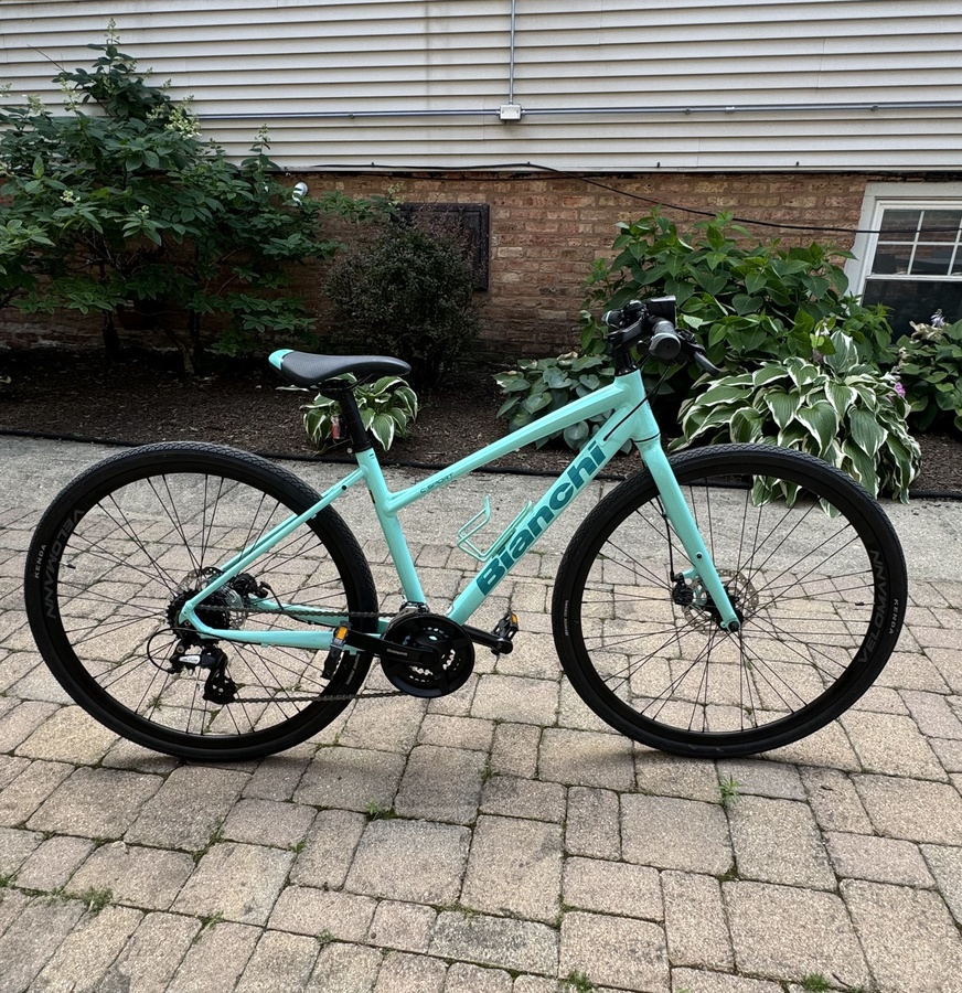 Bianchi C-sports1 2022！ Bianchi C-Sport 1 Altus 2024 bike, Silver | Bikeinn