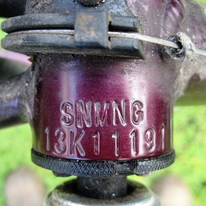 Schwinn Trailway Purple