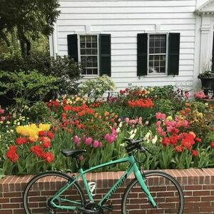 Specialized Sirrus A1 Teal