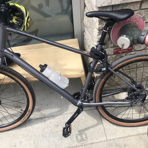 2022 Kona Dew Silver, gray or bare metal