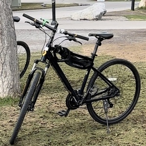 2021 SCOTT Scott Blue