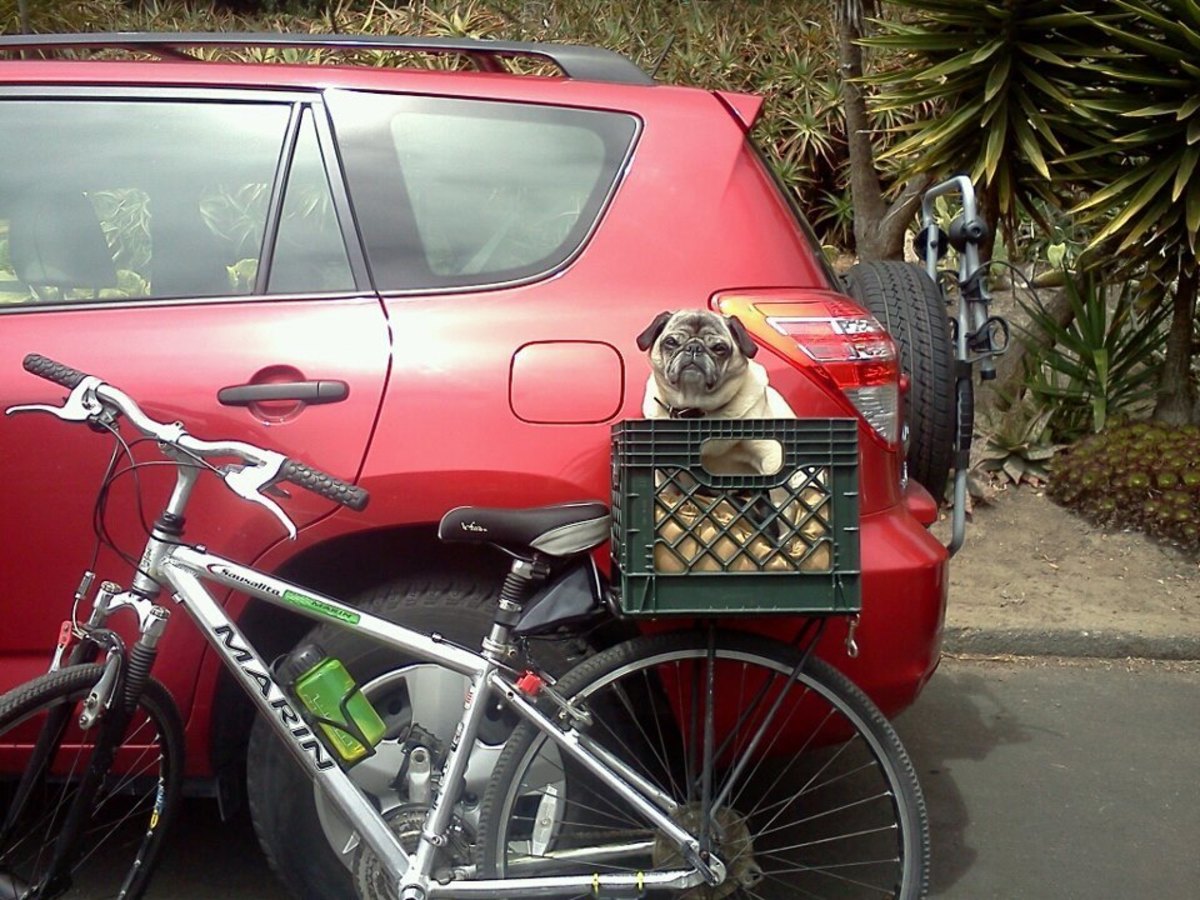 Bike photo