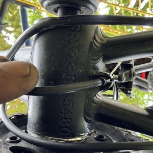 2024 Shimano Mountain Black and Yellow or Gold