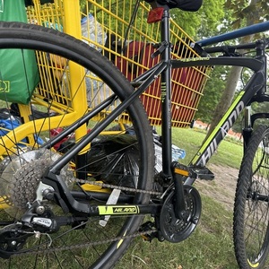 2024 Shimano Mountain Black and Yellow or Gold
