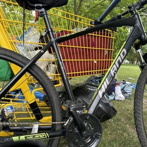 2024 Shimano Mountain Black and Yellow or Gold