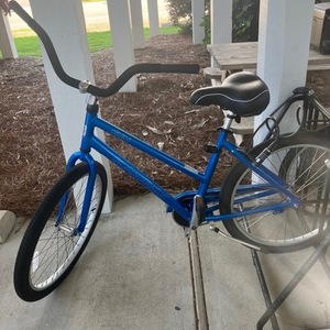 2024 Sun ALY L19 CB Blue