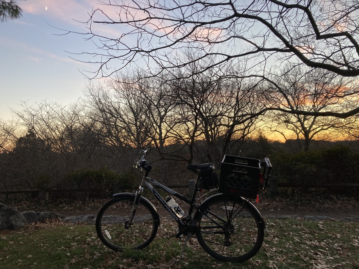 Bike photo