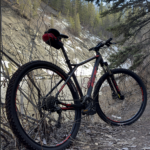 GT Bicycles GT Avalanche Black and Red