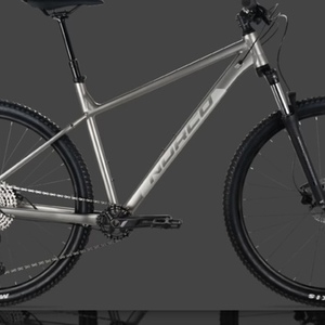 2023 Norco Bikes Storm 1 Silver, gray or bare metal