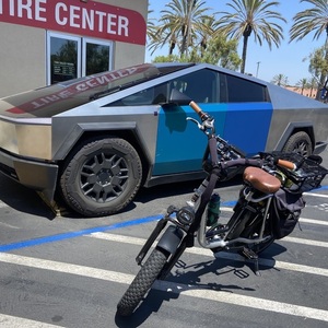 2022 Rad Power Bikes runner plus Silver, gray or bare metal