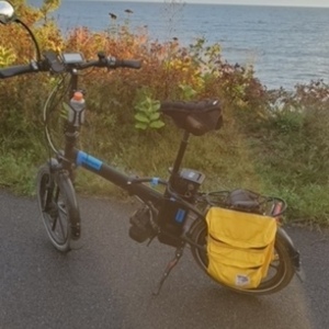 2020 Magnum Bikes Premium HS II Black