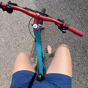 Specialized Teal and Red