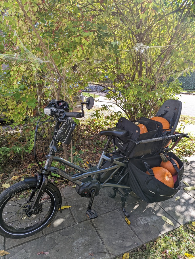 Cargo Tricycle photo