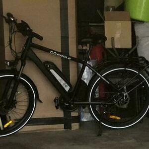 2024 GoPower GoEagle Black