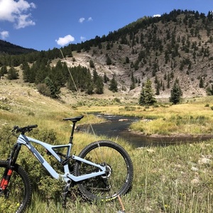 2024 Orbea Rallon M10 Blue