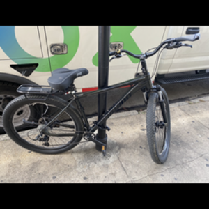 Schwinn Black