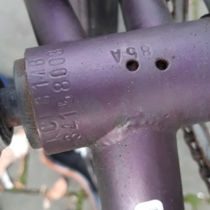 Batavus L2 Have Purple
