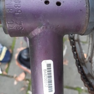 Batavus L2 Have Purple