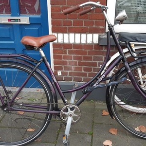 Batavus L2 Have Purple